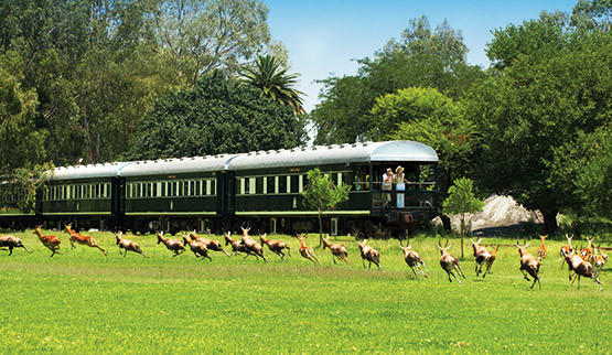 Rovos Rail train on a train safari